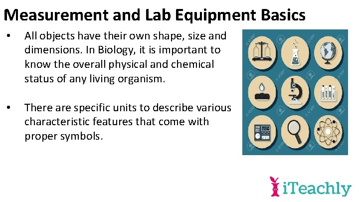 Measurement and Lab Equipment Basics • All objects have their own shape, size and