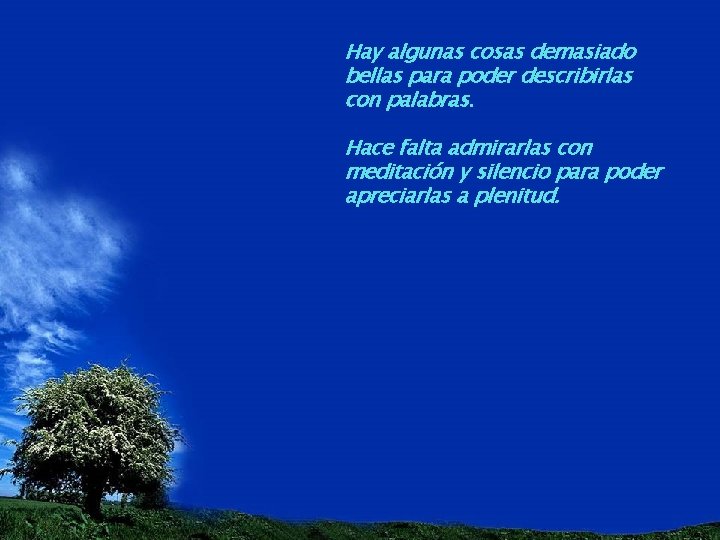 Hay algunas cosas demasiado bellas para poder describirlas con palabras. Hace falta admirarlas con