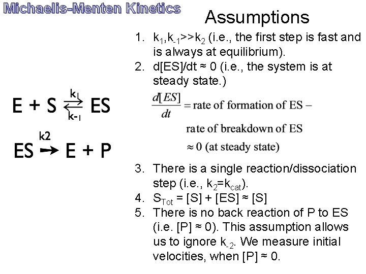 Michaelis-Menten Kinetics Assumptions 1. k 1, k-1>>k 2 (i. e. , the first step