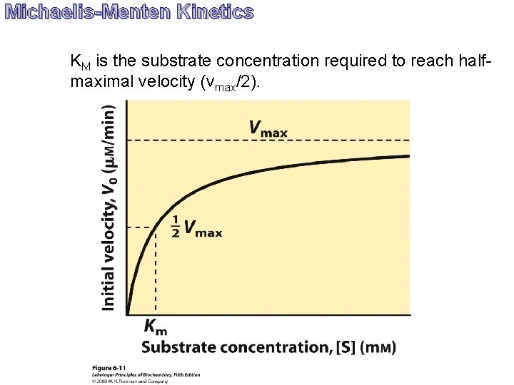 Michaelis-Menten Kinetics KM is the substrate concentration required to reach halfmaximal velocity (vmax/2). 