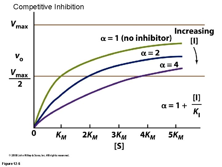 Competitive Inhibition Figure 12 -6 