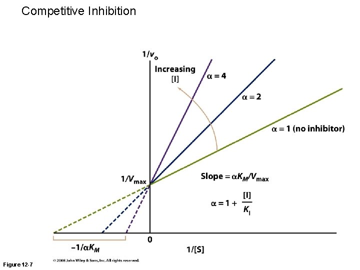 Competitive Inhibition Figure 12 -7 