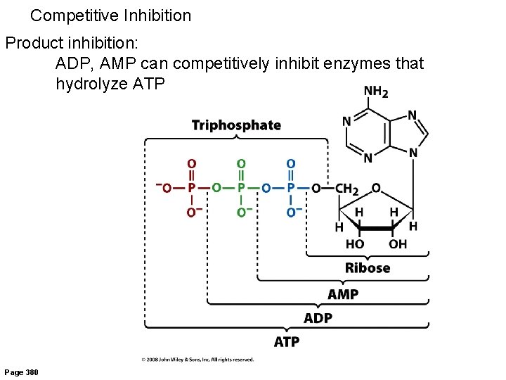 Competitive Inhibition Product inhibition: ADP, AMP can competitively inhibit enzymes that hydrolyze ATP Page