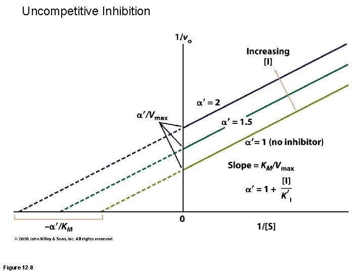 Uncompetitive Inhibition Figure 12 -8 