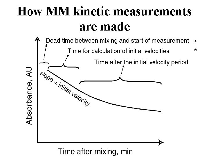 How MM kinetic measurements are made * * 