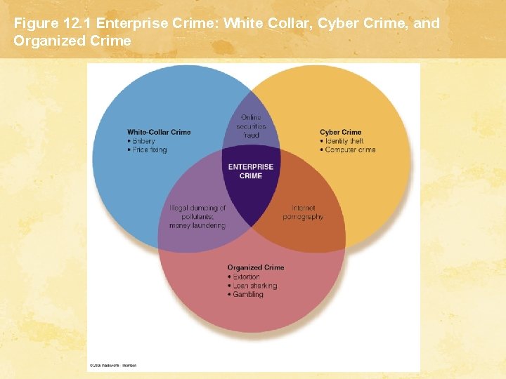 Figure 12. 1 Enterprise Crime: White Collar, Cyber Crime, and Organized Crime 