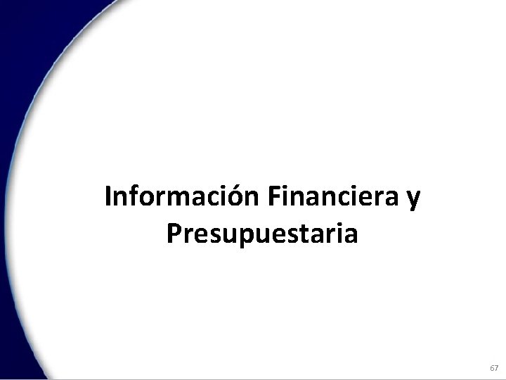 Información Financiera y Presupuestaria 67 