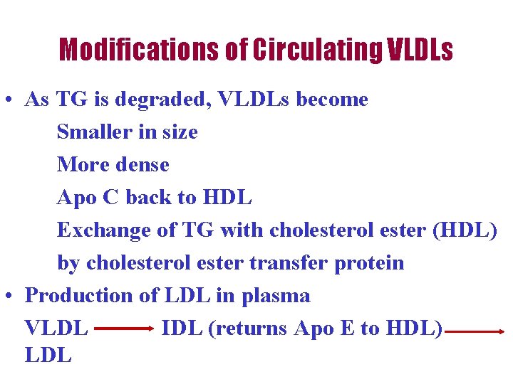 Modifications of Circulating VLDLs • As TG is degraded, VLDLs become Smaller in size