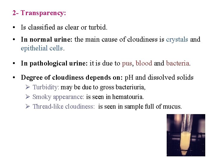2 - Transparency: • Is classified as clear or turbid. • In normal urine: 2 - Transparency: • Is classified as clear or turbid. • In normal urine: