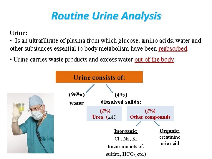 Routine Urine Analysis Urine: • Is an ultrafiltrate of plasma from which glucose, amino Routine Urine Analysis Urine: • Is an ultrafiltrate of plasma from which glucose, amino