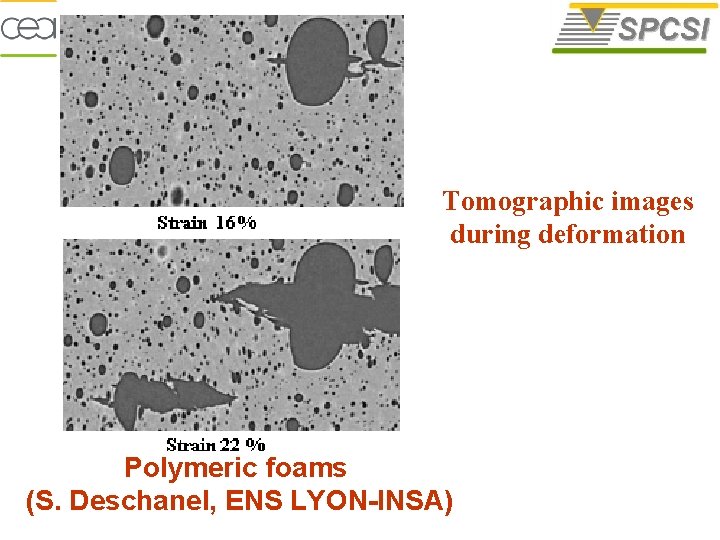 Tomographic images during deformation Polymeric foams (S. Deschanel, ENS LYON-INSA) 