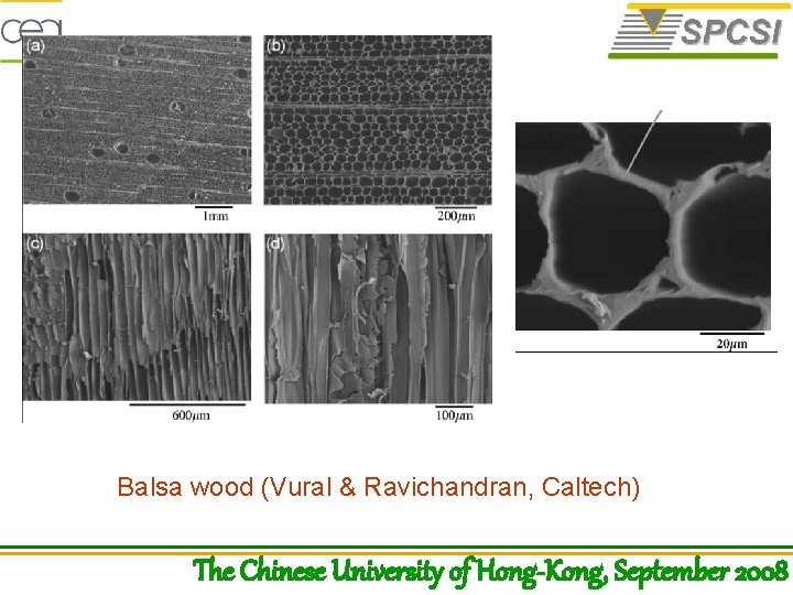 Balsa wood (Vural & Ravichandran, Caltech) The Chinese University of Hong-Kong, September 2008 
