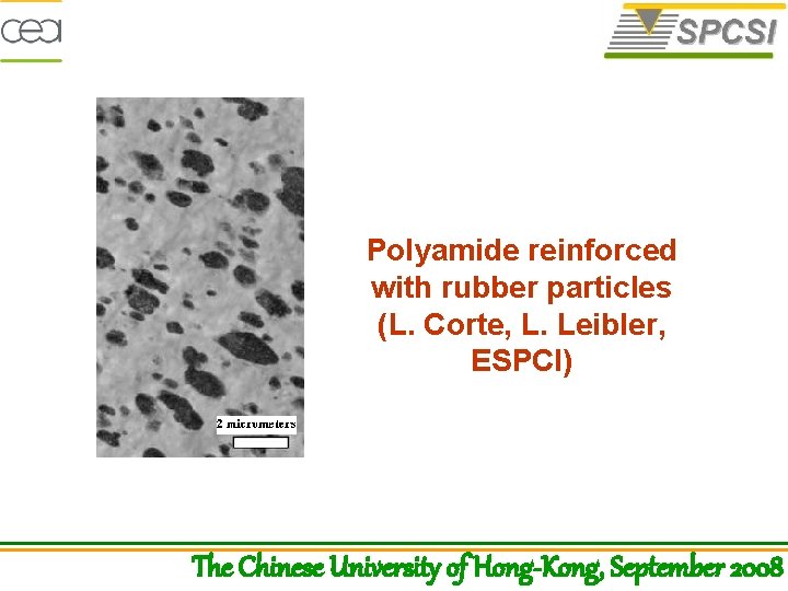 Polyamide reinforced with rubber particles (L. Corte, L. Leibler, ESPCI) The Chinese University of