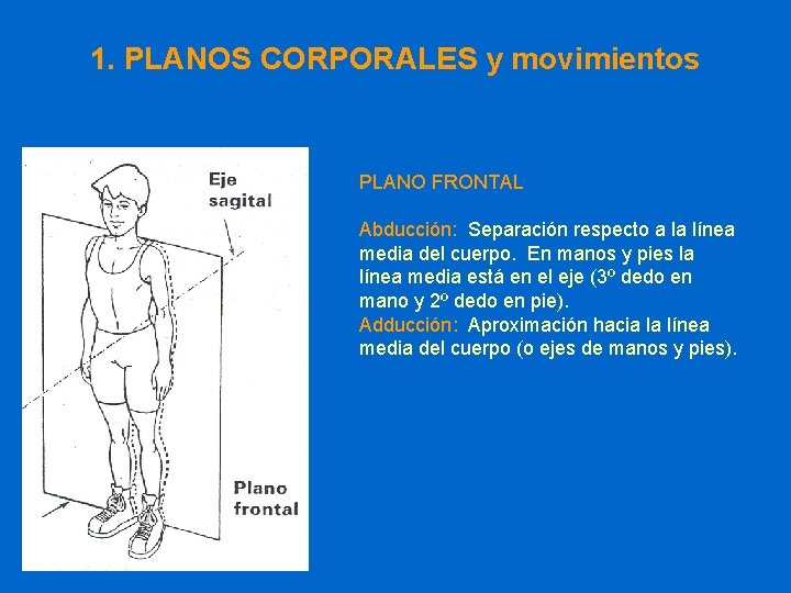 1. PLANOS CORPORALES y movimientos PLANO FRONTAL Abducción: Separación respecto a la línea media