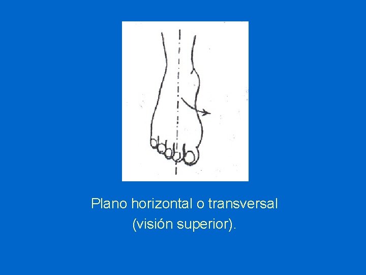 Plano horizontal o transversal (visión superior). 