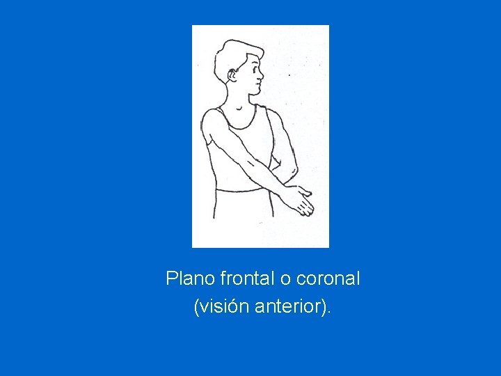 Plano frontal o coronal (visión anterior). 