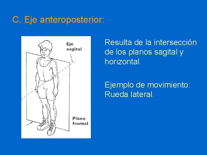 C. Eje anteroposterior: Resulta de la intersección de los planos sagital y horizontal. Ejemplo