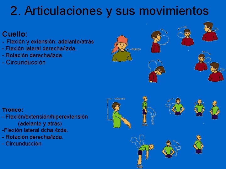 2. Articulaciones y sus movimientos Cuello: - Flexión y extensión: adelante/atrás - Flexión lateral