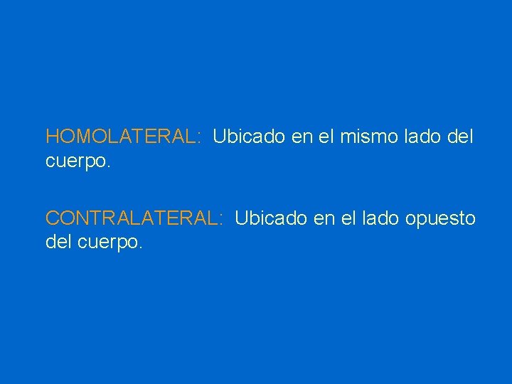 HOMOLATERAL: Ubicado en el mismo lado del cuerpo. CONTRALATERAL: Ubicado en el lado opuesto