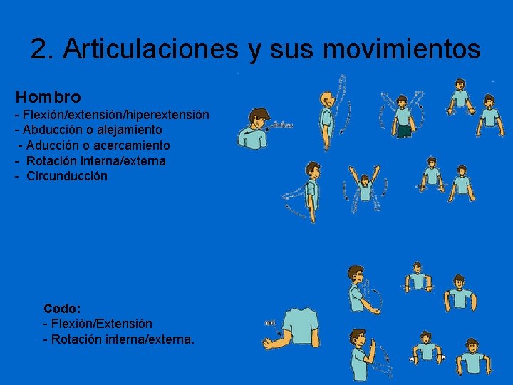 2. Articulaciones y sus movimientos Hombro - Flexión/extensión/hiperextensión - Abducción o alejamiento - Aducción