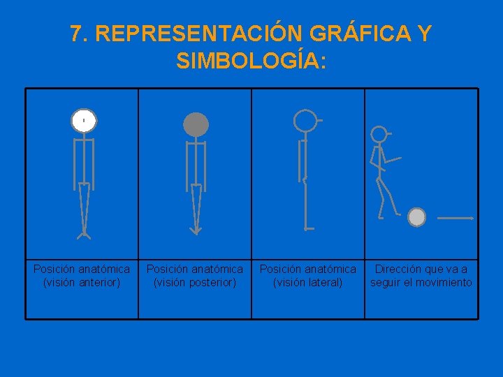 7. REPRESENTACIÓN GRÁFICA Y SIMBOLOGÍA: Posición anatómica (visión anterior) Posición anatómica (visión posterior) Posición