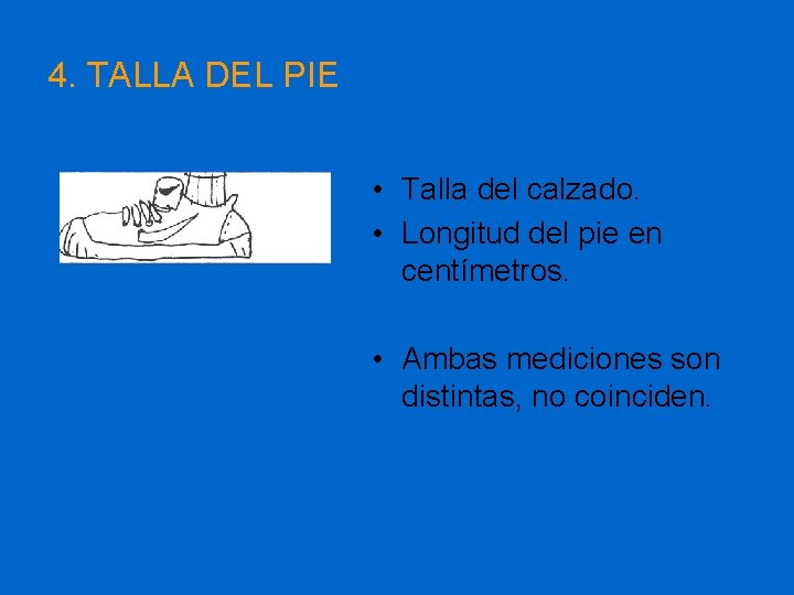 4. TALLA DEL PIE • Talla del calzado. • Longitud del pie en centímetros.