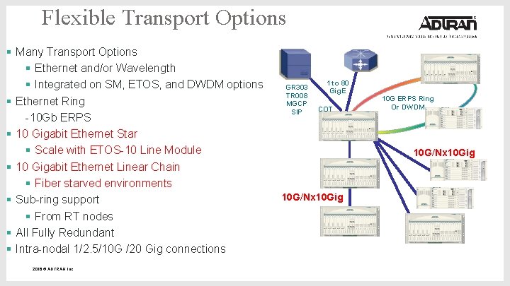 Flexible Transport Options § Many Transport Options § Ethernet and/or Wavelength § Integrated on