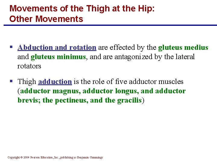 Movements of the Thigh at the Hip: Other Movements § Abduction and rotation are