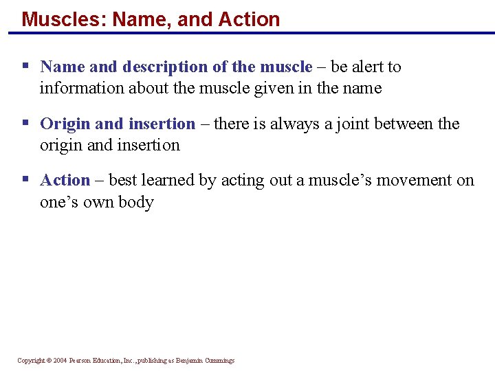 Muscles: Name, and Action § Name and description of the muscle – be alert