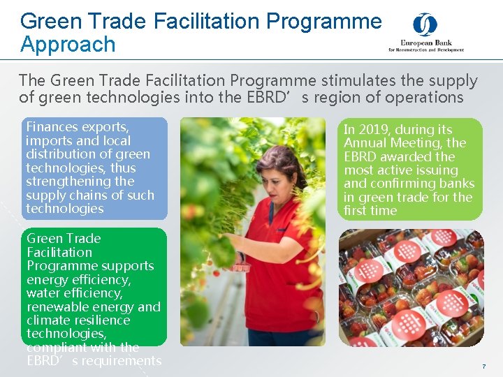 Green Trade Facilitation Programme Approach The Green Trade Facilitation Programme stimulates the supply of