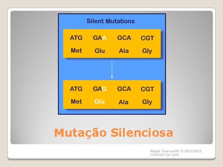 Mutação Silenciosa Magda Charrua BG II 2011/2012 COLÉGIO DA LAPA 