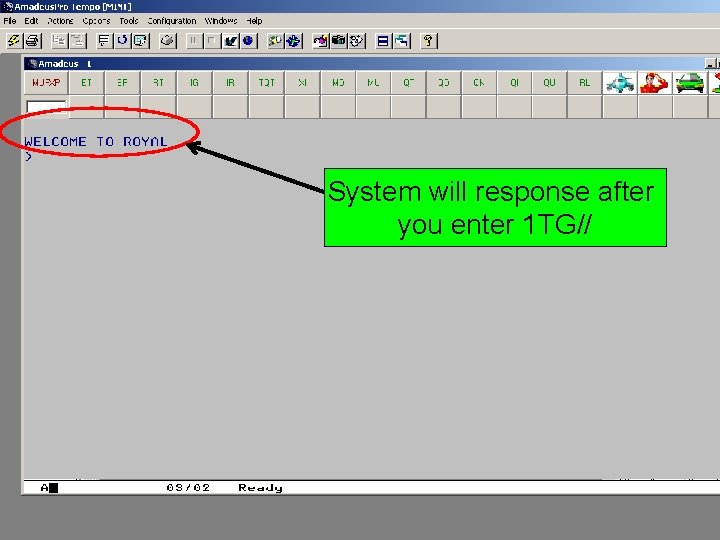 System will response after you enter 1 TG// 