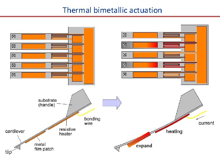Thermal bimetallic actuation tip expand 