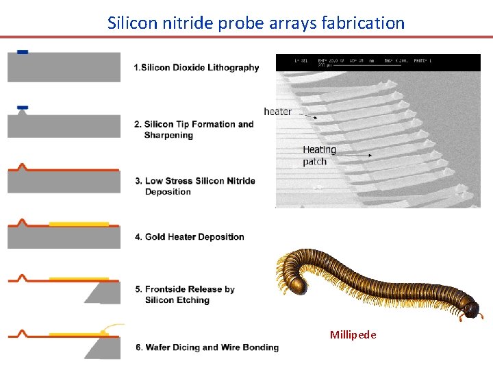 Silicon nitride probe arrays fabrication Millipede 