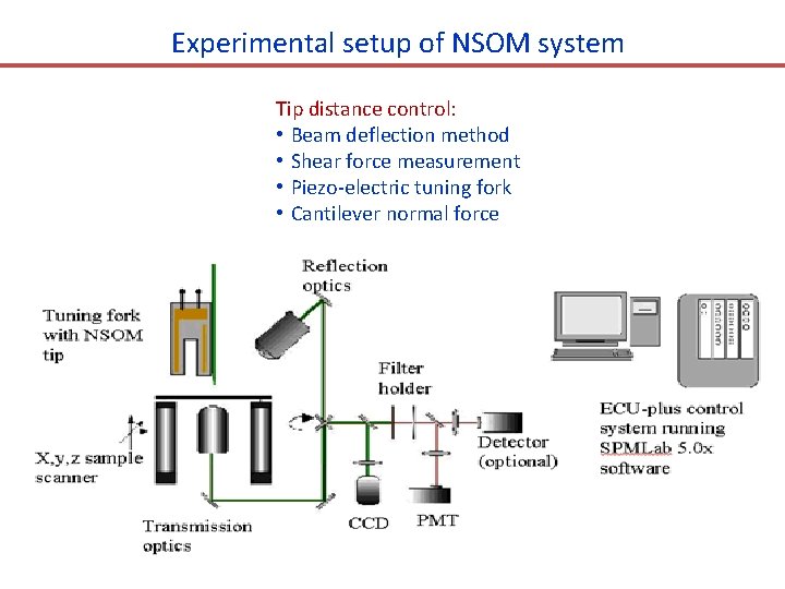 Experimental setup of NSOM system Tip distance control: • Beam deflection method • Shear