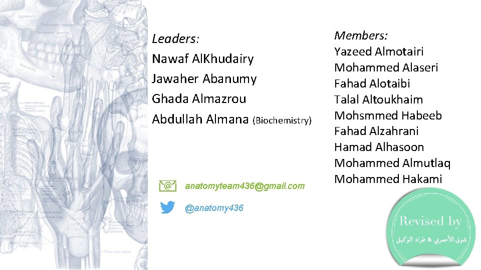 Leaders: Nawaf Al. Khudairy Jawaher Abanumy Ghada Almazrou Abdullah Almana (Biochemistry) anatomyteam 436@gmail. com Leaders: Nawaf Al. Khudairy Jawaher Abanumy Ghada Almazrou Abdullah Almana (Biochemistry) anatomyteam 436@gmail. com