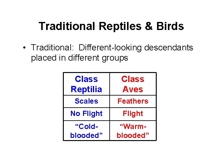 Traditional Reptiles & Birds • Traditional: Different-looking descendants placed in different groups Class Reptilia