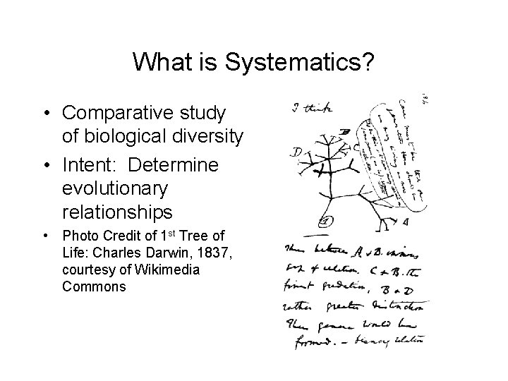 What is Systematics? • Comparative study of biological diversity • Intent: Determine evolutionary relationships