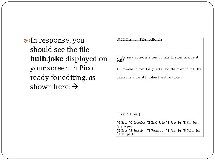  In response, you should see the file bulb. joke displayed on your screen