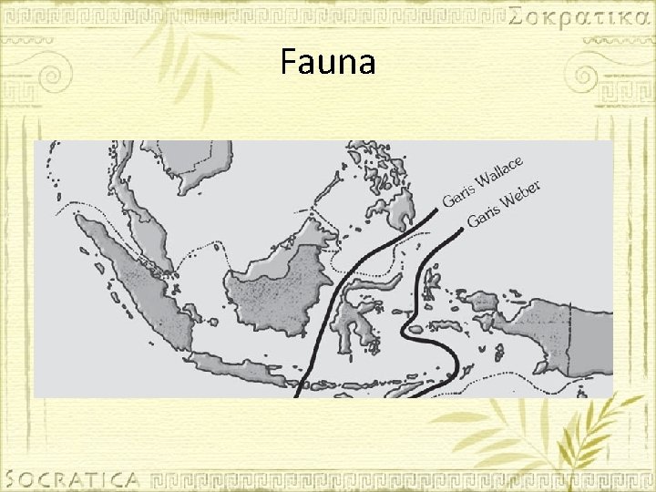 Fauna 