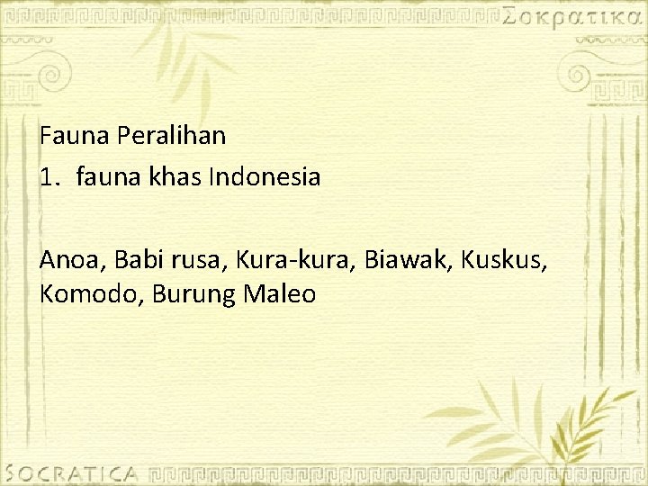 Fauna Peralihan 1. fauna khas Indonesia Anoa, Babi rusa, Kura-kura, Biawak, Kuskus, Komodo, Burung