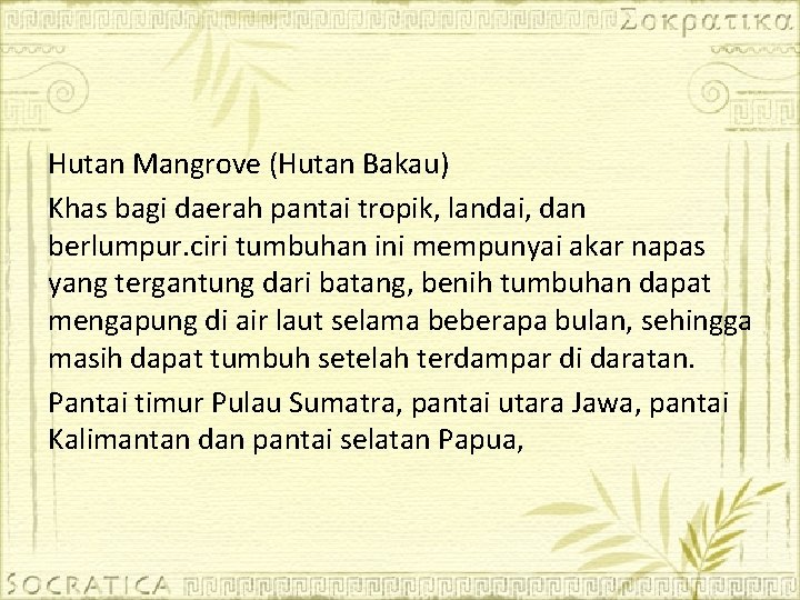 Hutan Mangrove (Hutan Bakau) Khas bagi daerah pantai tropik, landai, dan berlumpur. ciri tumbuhan