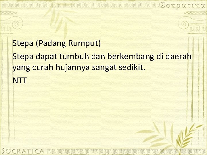 Stepa (Padang Rumput) Stepa dapat tumbuh dan berkembang di daerah yang curah hujannya sangat