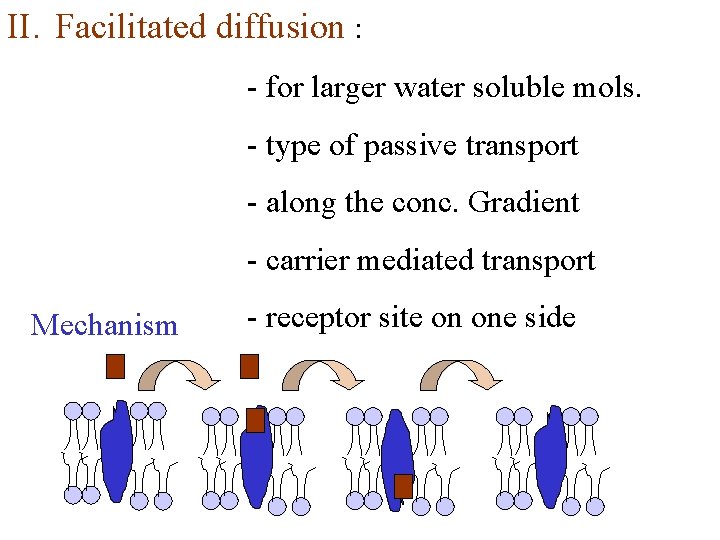 II. Facilitated diffusion : - for larger water soluble mols. - type of passive