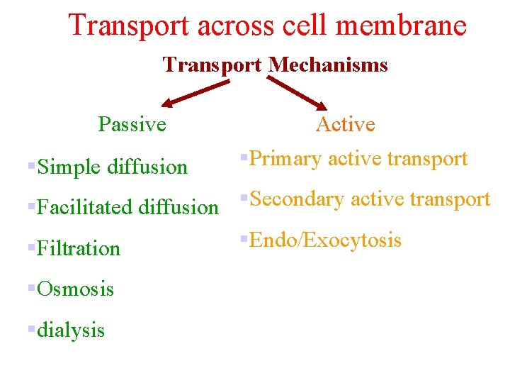 Transport across cell membrane Transport Mechanisms Passive §Simple diffusion Active §Primary active transport §Facilitated