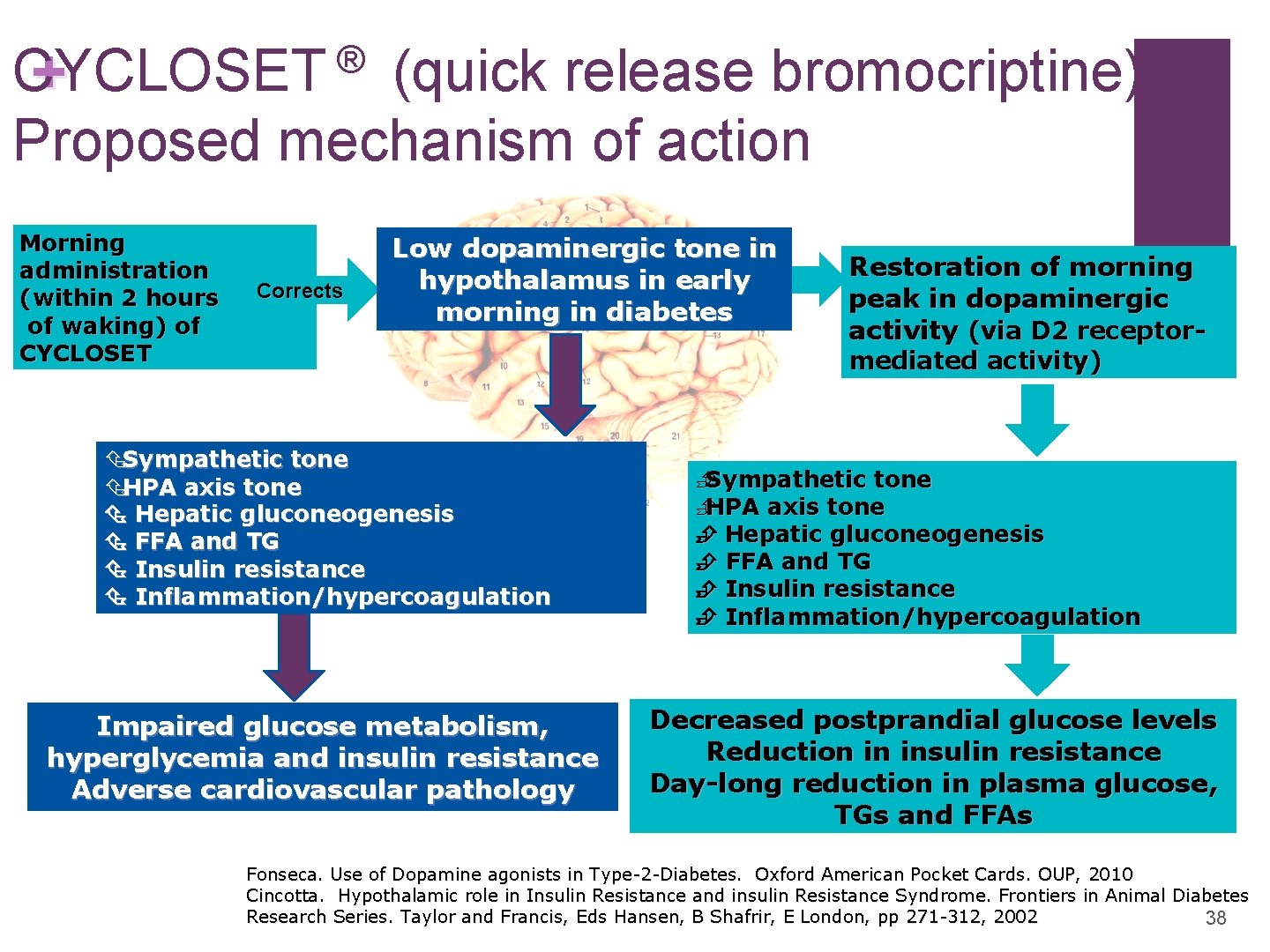 + ® CYCLOSET (quick release bromocriptine): Proposed mechanism of action Morning administration (within 2