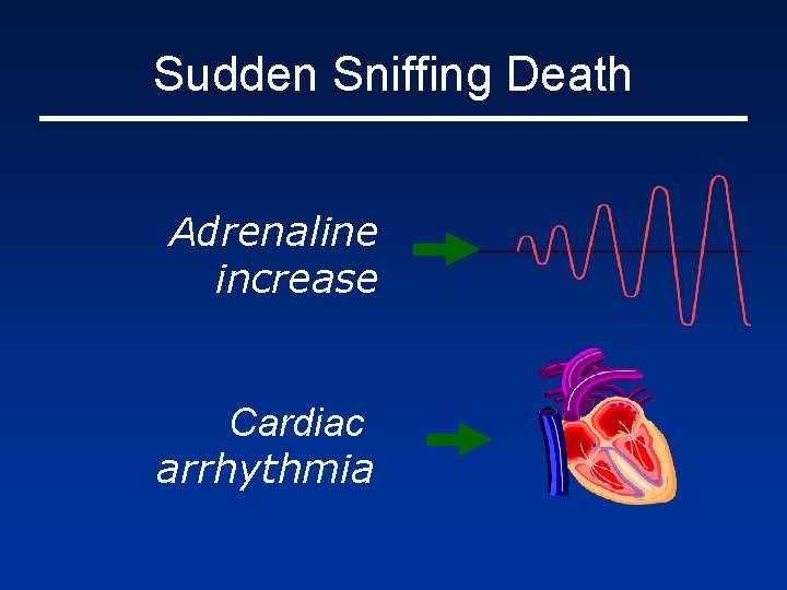 Sudden Sniffing Death Adrenaline increase Cardiac arrhythmia 