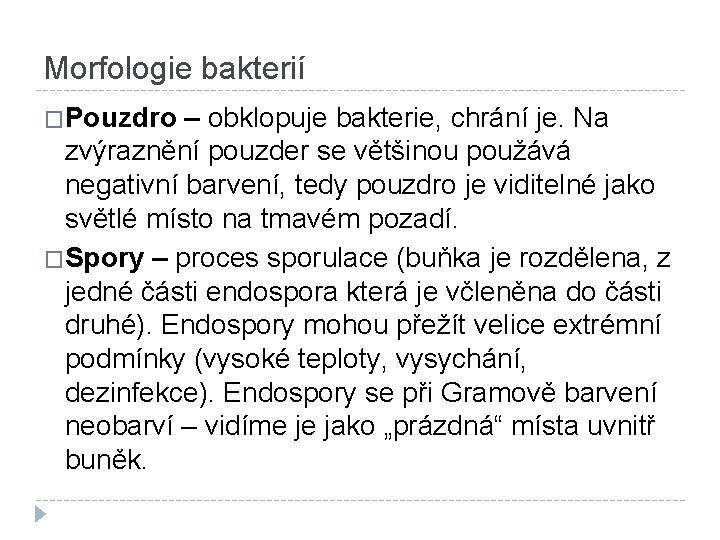 Morfologie bakterií �Pouzdro – obklopuje bakterie, chrání je. Na zvýraznění pouzder se většinou použává