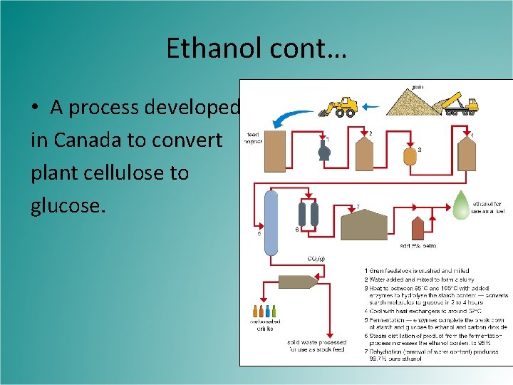 Ethanol cont… • A process developed in Canada to convert plant cellulose to glucose.