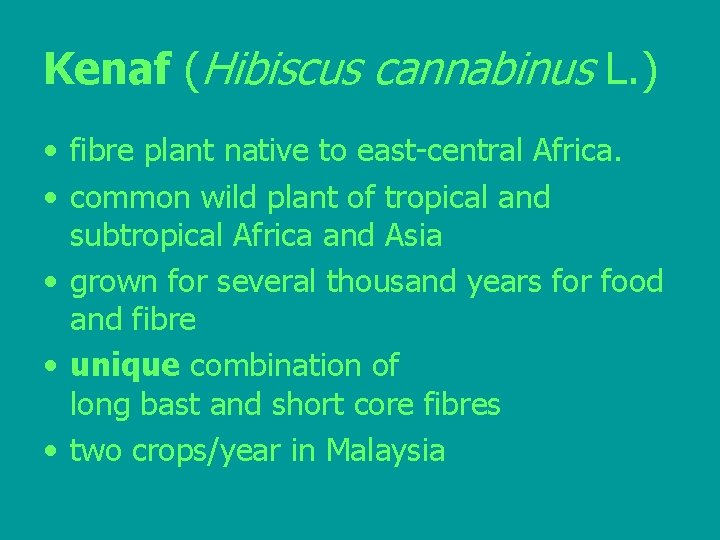 Kenaf (Hibiscus cannabinus L. ) • fibre plant native to east-central Africa. • common